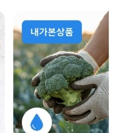브로콜리