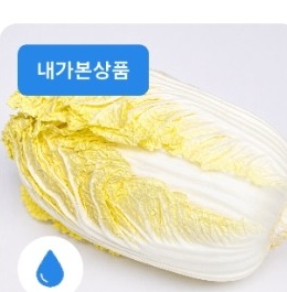배추
